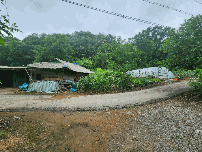 충청북도 진천군 백곡면 성대리 174 대지 경매 사진 5