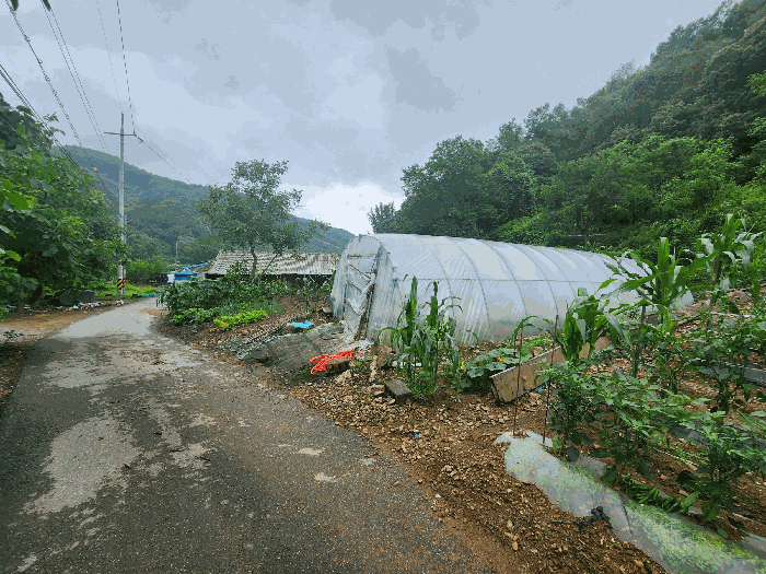 충청북도 진천군 백곡면 성대리 174 대지 경매 사진 6