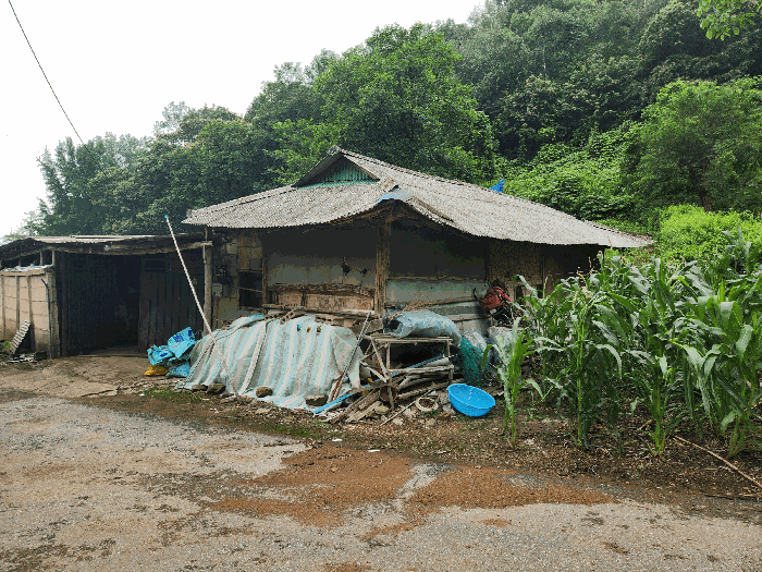 충청북도 진천군 백곡면 성대리 174 대지 경매 사진 8