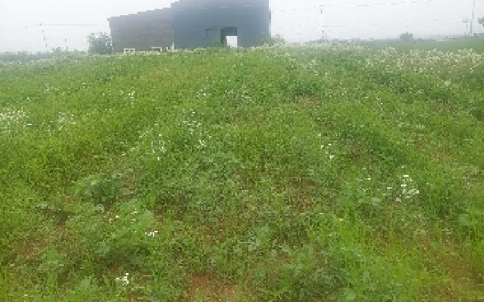 충청남도 천안시 서북구 성환읍 수향리 420-1 외 1필지 공장 경매 사진 2