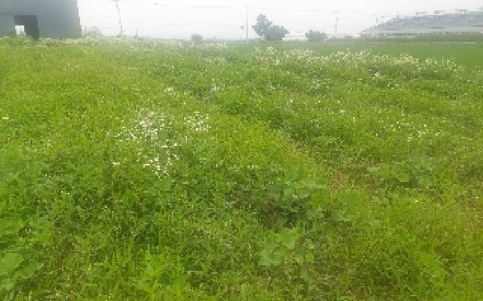 충청남도 천안시 서북구 성환읍 수향리 420-1 외 1필지 공장 경매 사진 3