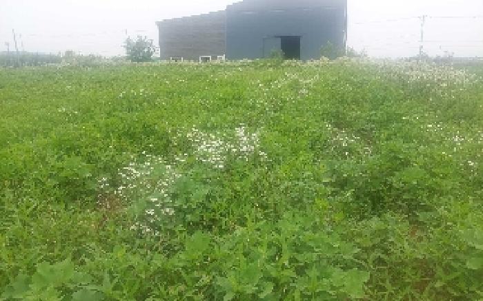 충청남도 천안시 서북구 성환읍 수향리 420-1 외 1필지 공장 경매 사진 5