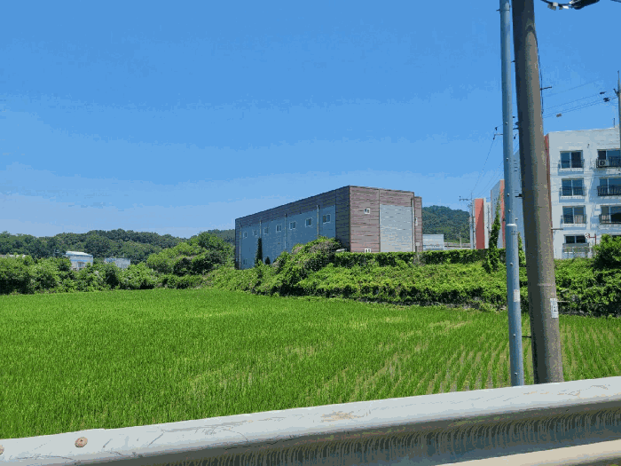 충청남도 천안시 동남구 병천면 탑원리 66-2 외 4필지 공장 경매 사진 47