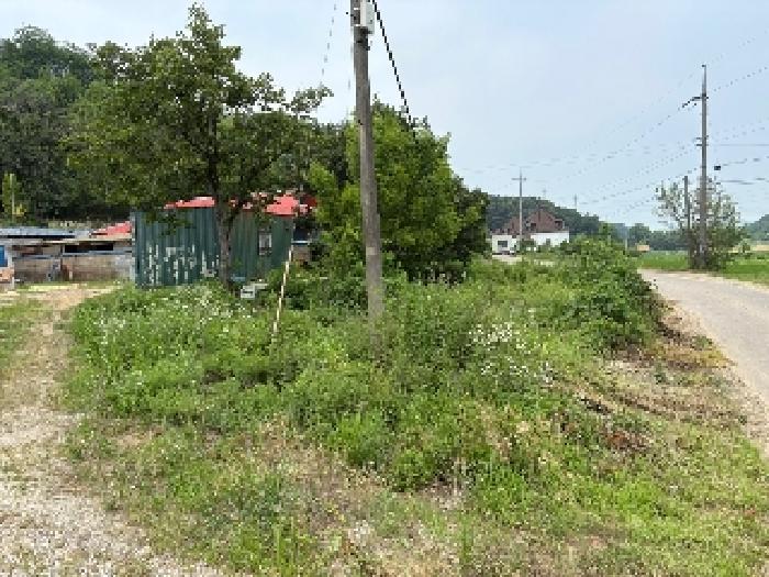 충청남도 당진시 송악읍 월곡리 241 외 3필지 전 경매 사진 11