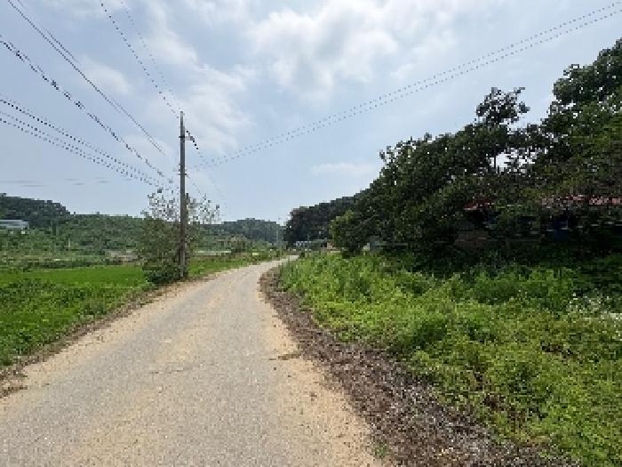 충청남도 당진시 송악읍 월곡리 241 외 3필지 전 경매 사진 13