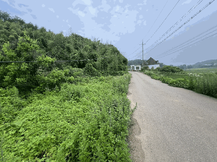 충청남도 당진시 송악읍 월곡리 241 외 3필지 전 경매 사진 16