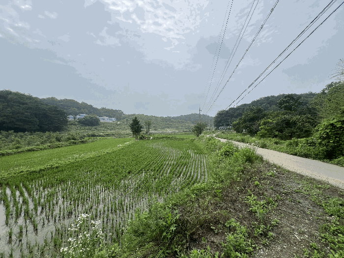 충청남도 당진시 송악읍 월곡리 241 외 3필지 전 경매 사진 18