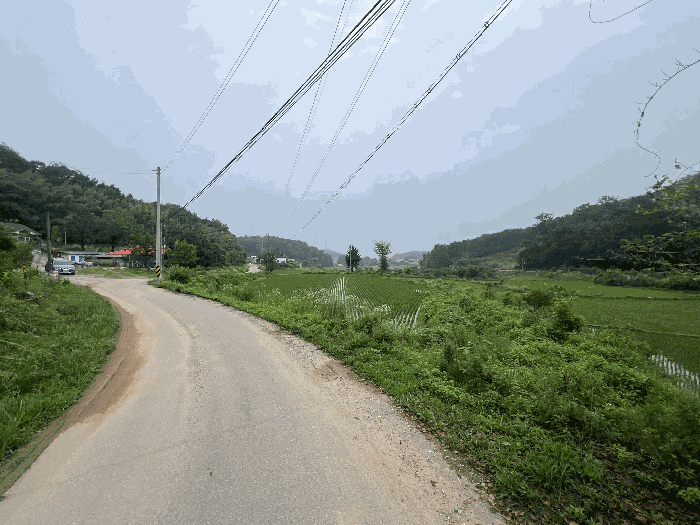 충청남도 당진시 송악읍 월곡리 241 외 3필지 전 경매 사진 19