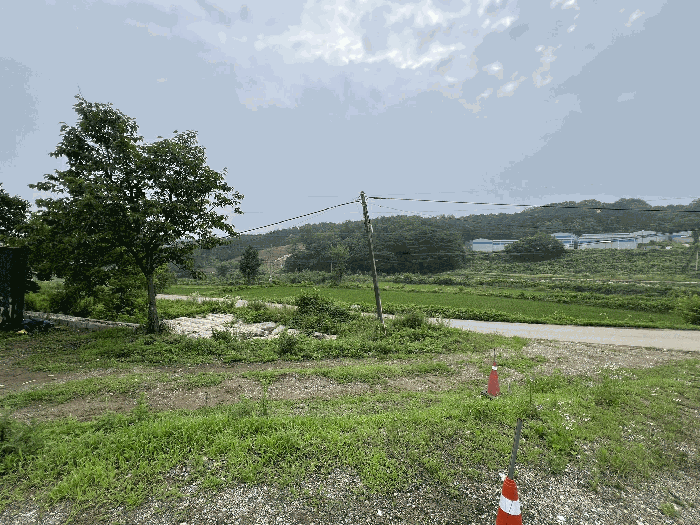 충청남도 당진시 송악읍 월곡리 241 외 3필지 전 경매 사진 23