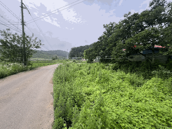 충청남도 당진시 송악읍 월곡리 241 외 3필지 전 경매 사진 24