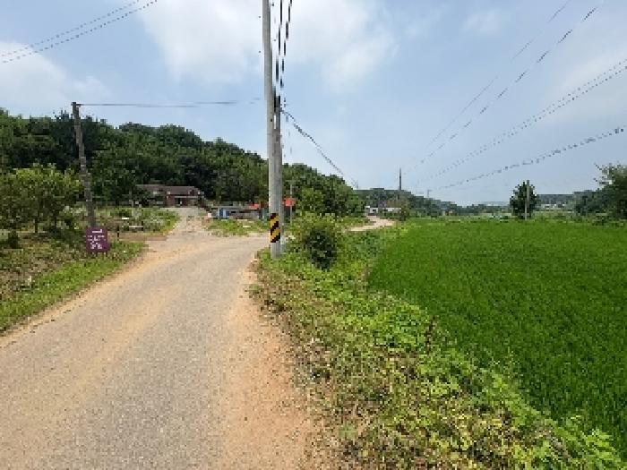 충청남도 당진시 송악읍 월곡리 241 외 3필지 전 경매 사진 7