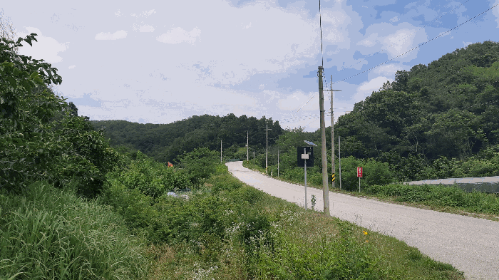 경상북도 김천시 감천면 금송리 산101 임야 경매 사진 8