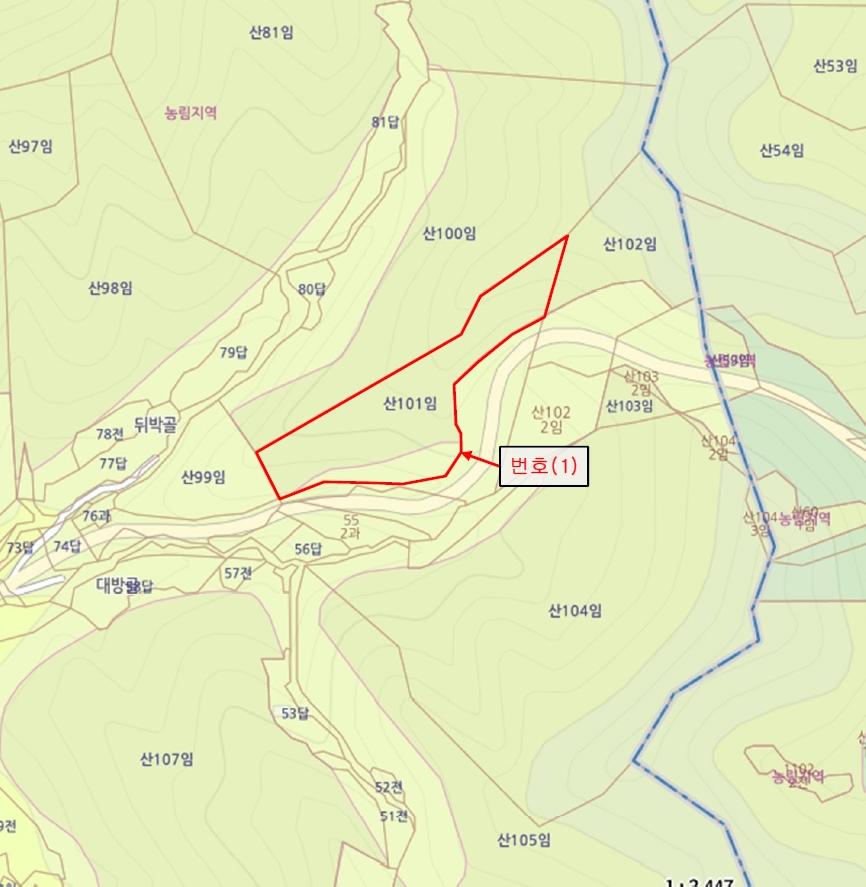 경상북도 김천시 감천면 금송리 산101 임야 경매 사진 10