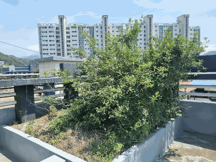 경상북도 구미시 인의동 399-5 근린주택 경매 사진 56
