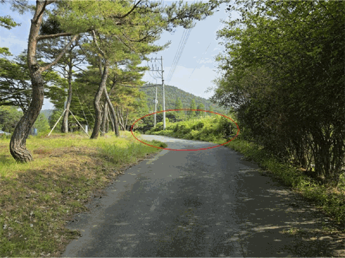 울산광역시 울주군 범서읍 사연리 285-12 과수원 경매 사진 12
