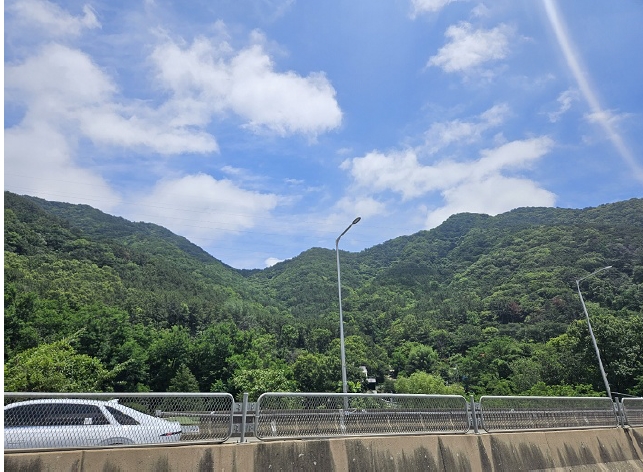 경상남도 창원시 성산구 토월동 산37 임야 경매 사진 1