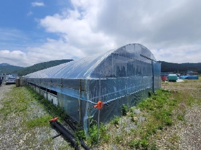 경상남도 거제시 둔덕면 하둔리 620-11 외 1필지 답 경매 사진 4