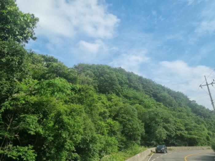 전라남도 광양시 옥곡면 묵백리 산50 임야 경매 사진 3
