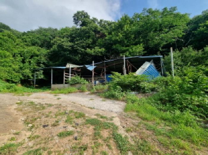 전라남도 광양시 옥곡면 묵백리 산50 임야 경매 사진 4