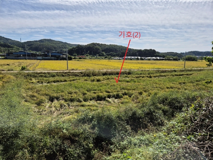 경기도 안성시 보개면 신안리 515 답 경매 사진 4