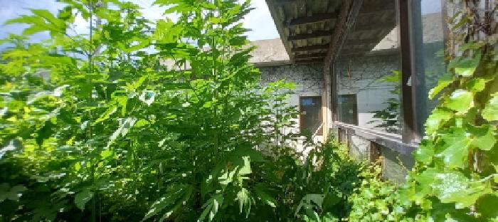 경기도 포천시 이동면 노곡리 894-18 외 1필지 대지 경매 사진 5