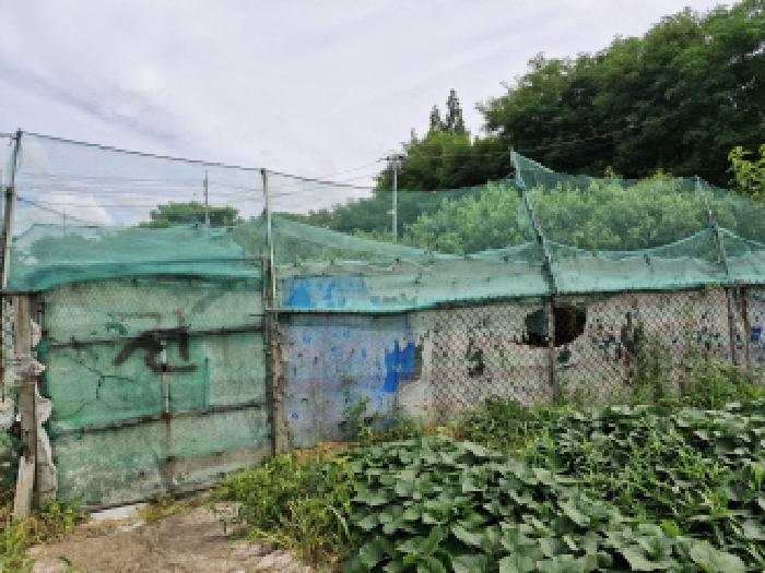 경기도 안산시 단원구 신길동 216-126 전 경매 사진 18
