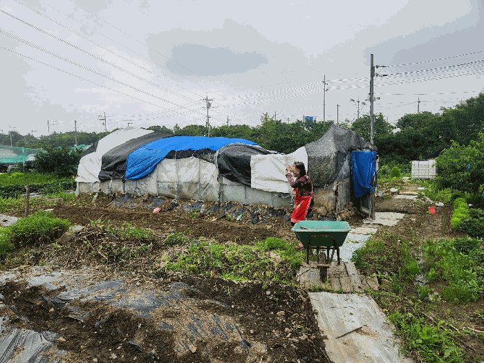 경기도 안산시 단원구 신길동 216-126 전 경매 사진 22