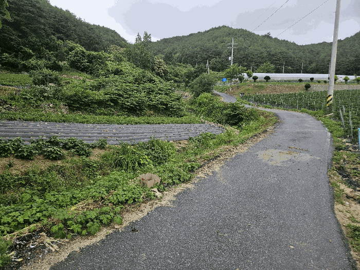 경상북도 봉화군 법전면 눌산리 1064 대지 경매 사진 3