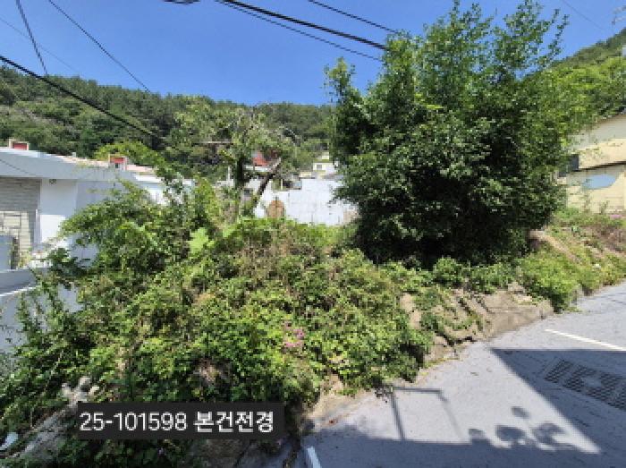 부산광역시 사하구 괴정동 산5-8 임야 경매 사진 13