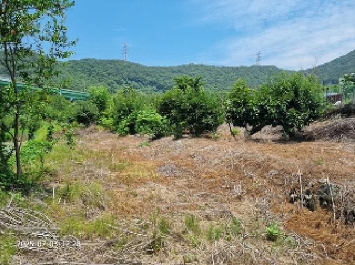경상남도 창원시 성산구 귀산동 250 답 경매 사진 3