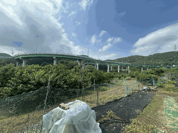 경상남도 창원시 성산구 귀산동 250 답 경매 사진 9