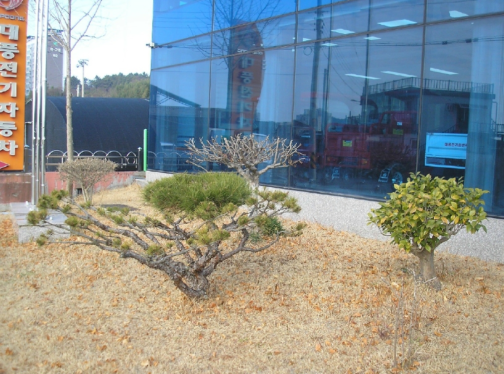 전라남도 고흥군 도양읍 봉암리 1481-4 외 2필지 공장 경매 사진 18