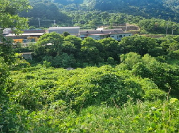 전라남도 광양시 다압면 하천리 59 대지 경매 사진 3