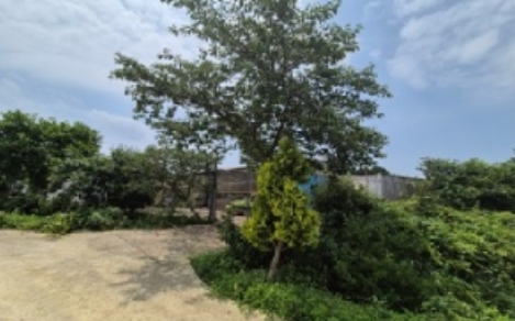 전라남도 영암군 군서면 월곡리 378-87 외 4필지 동물및식물관련시설 경매 사진 2