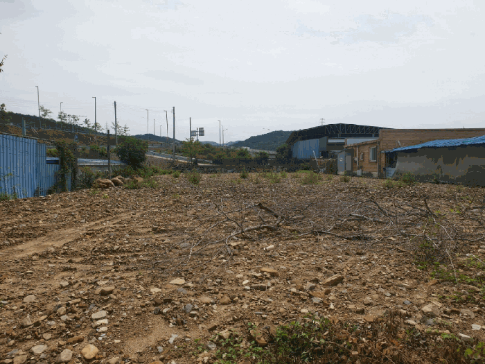 경상북도 칠곡군 동명면 봉암리 440-22 답 경매 사진 12
