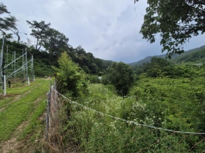 경상북도 포항시 북구 죽장면 상옥리 614 답 경매 사진 16