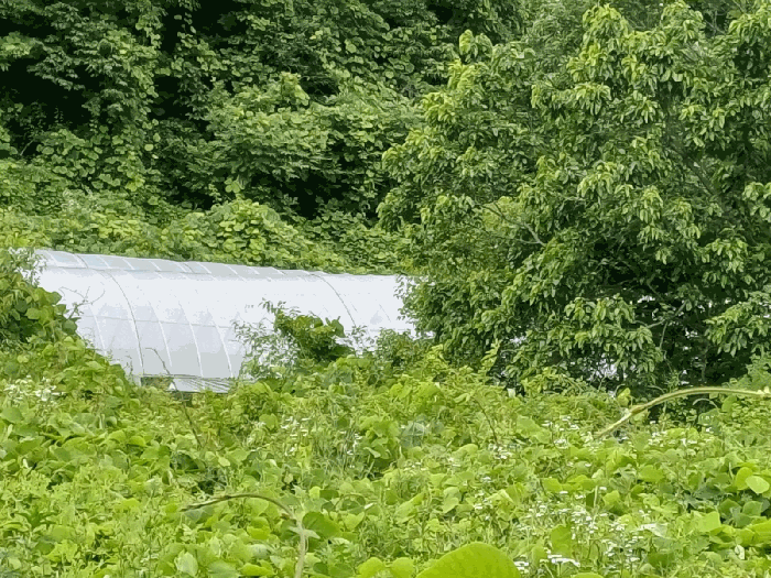 경상북도 포항시 북구 죽장면 상옥리 614 답 경매 사진 23