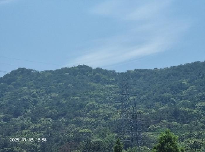 경상남도 창원시 성산구 상복동 산42 임야 경매 사진 14