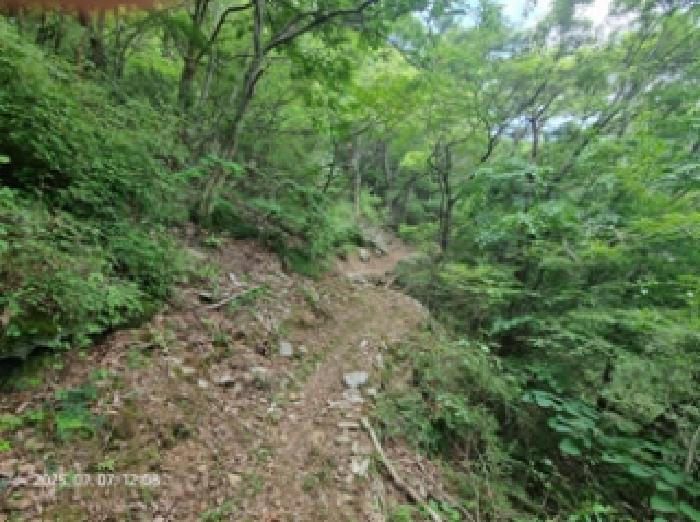 경상남도 창원시 성산구 상복동 산42 임야 경매 사진 18