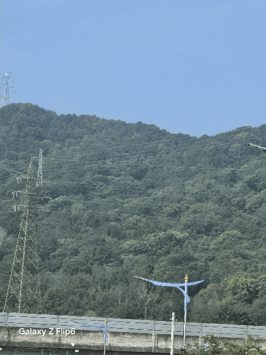 경상남도 창원시 성산구 상복동 산42 임야 경매 사진 20