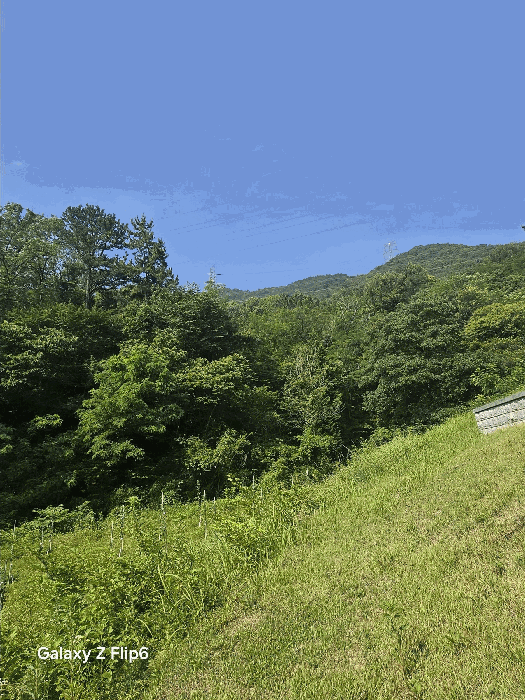 경상남도 창원시 성산구 상복동 산42 임야 경매 사진 22