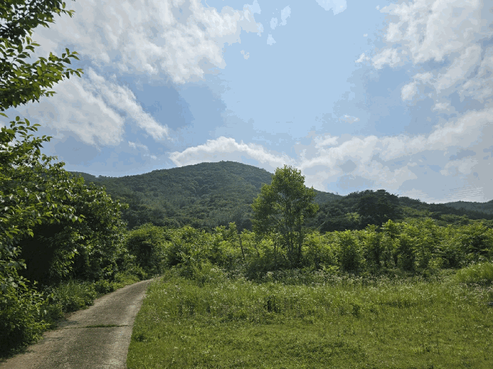 경상남도 진주시 명석면 신기리 산191 임야 경매 사진 3