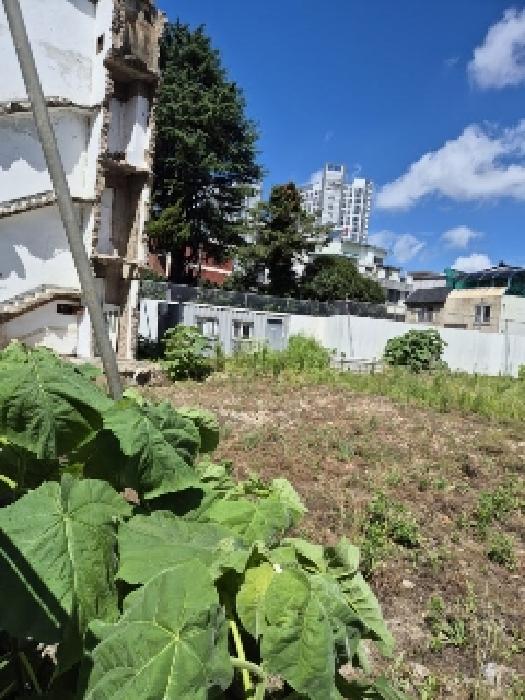 광주광역시 동구 충장로5가 128-3 외 3필지 대지 경매 사진 6