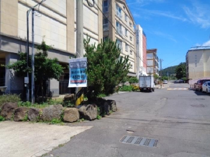제주특별자치도 서귀포시 대정읍 하모리 1570-18 외 5필지 전 경매 사진 8