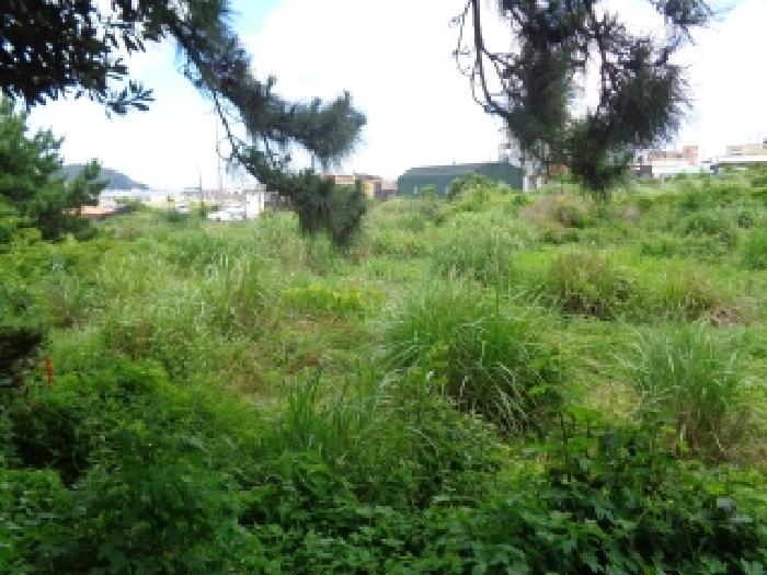 제주특별자치도 제주시 한림읍 금능리 1291-1 외 4필지 대지 경매 사진 2