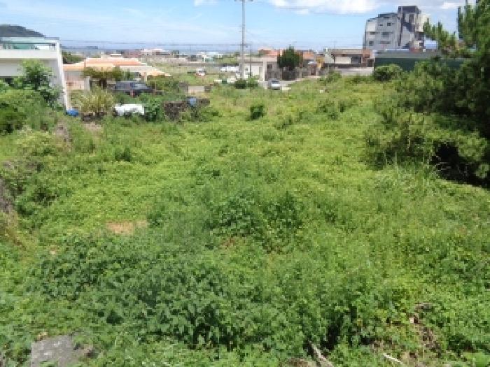 제주특별자치도 제주시 한림읍 금능리 1291-1 외 4필지 대지 경매 사진 3