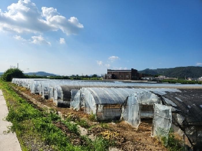 경기도 양주시 봉양동 354-1 외 3필지 전 경매 사진 1