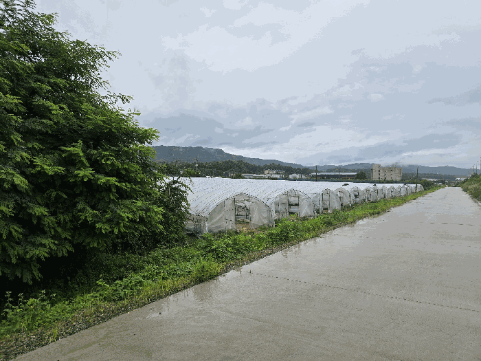 경기도 양주시 봉양동 354-1 외 3필지 전 경매 사진 12