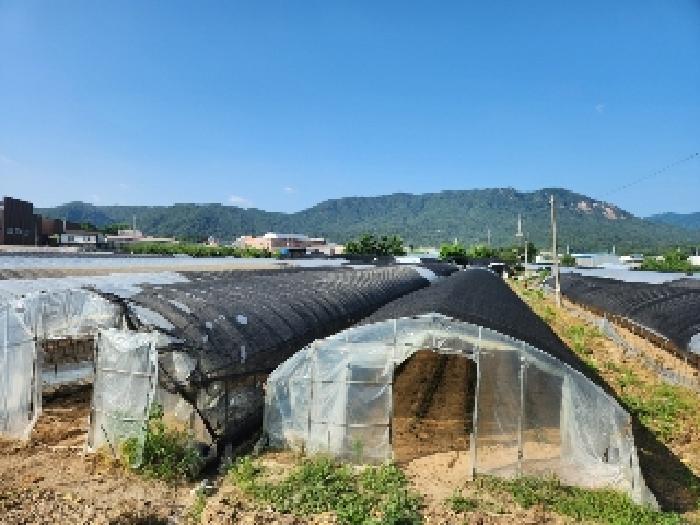 경기도 양주시 봉양동 354-1 외 3필지 전 경매 사진 4