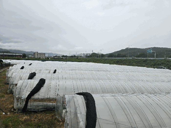 경기도 양주시 봉양동 354-1 외 3필지 전 경매 사진 7